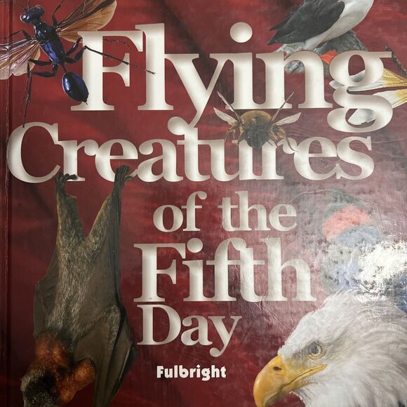 Exploring Creation with Zoology 1 Flying Creatures of the Fifth Day Textbook - Picture 3 of 8